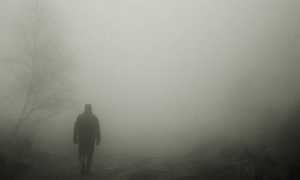 nebbia