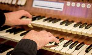 organo