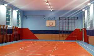 palestra vercelli