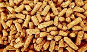 pellet
