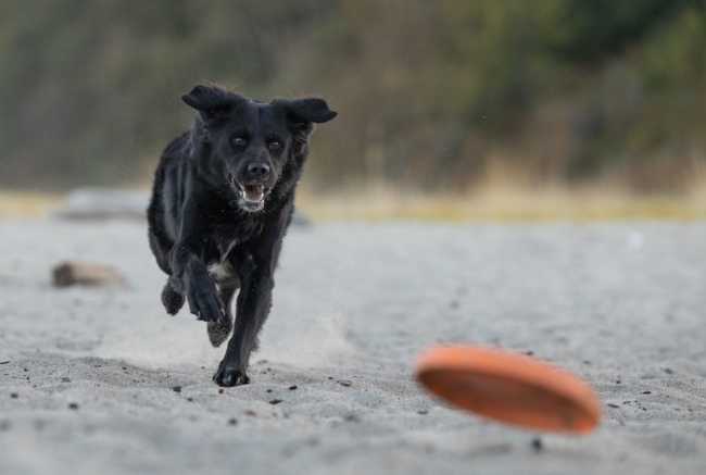 pexels sharon snider 14320529