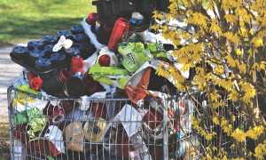 rifiuti plastica