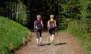 sports 3340697 640