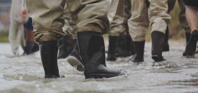 the tampa bay estuary program BFAYxIirP9U unsplash