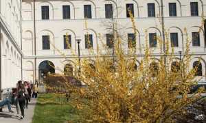 univerista campus