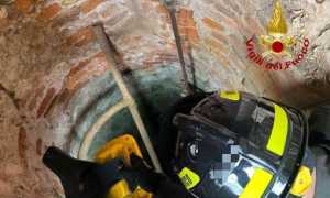 vigili del fuoco roasio gatto