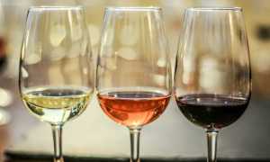 vino