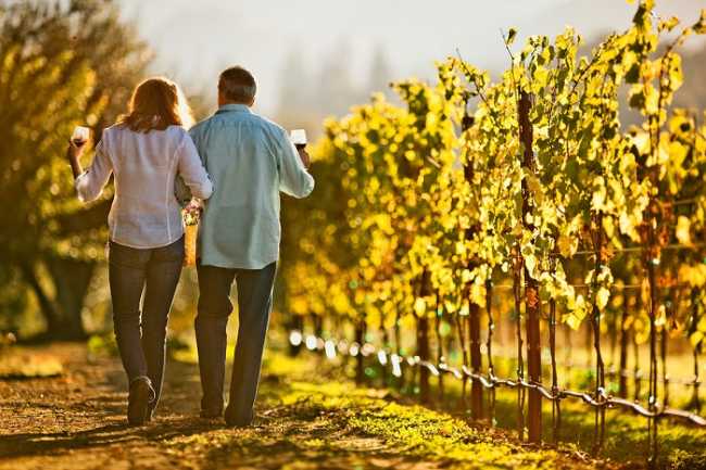 vino