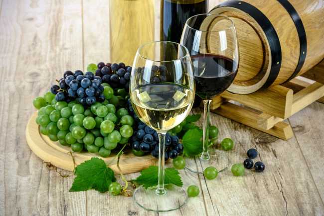 vino uva