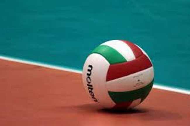 volley generica