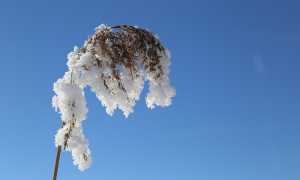 winter 4026443 640