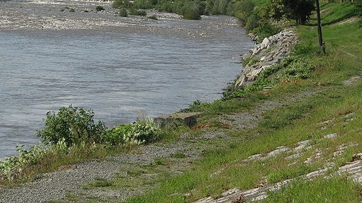 sesia