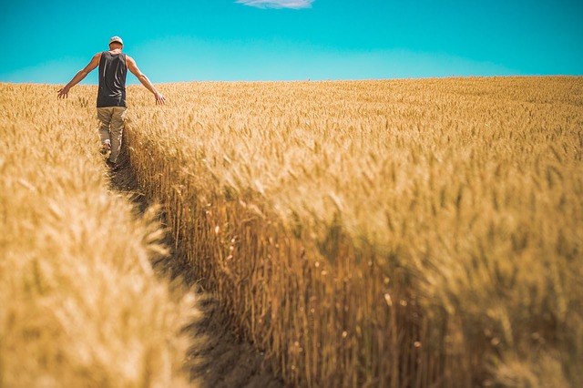 agricoltore
