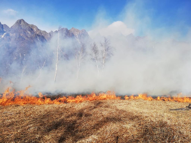 118a65cc 6198 4b90 8a4e 1c8b0b20e715