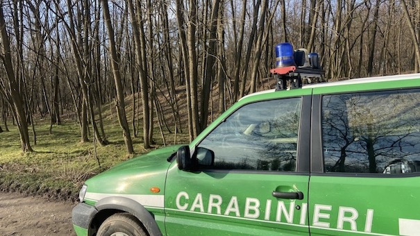 carabinieri forestale auto lato