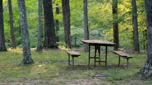 pic nic