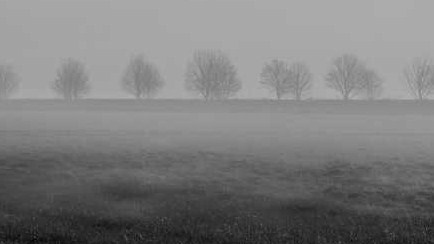 nebbia foto