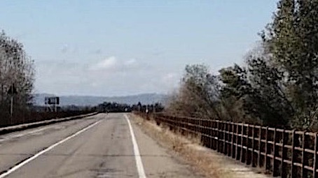 ponte generico