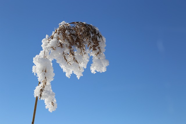 winter 4026443 640