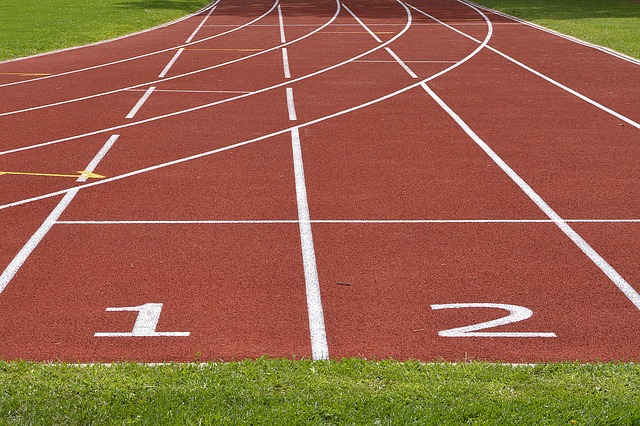 Pista